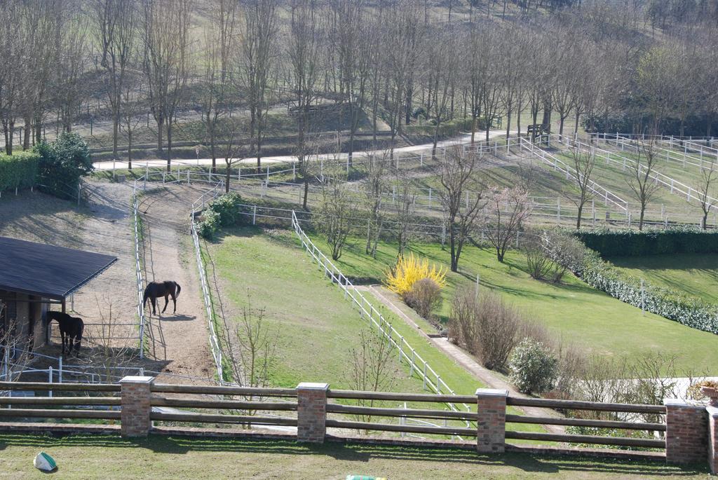 B&B Il Quadrifoglio Sciolze Bagian luar foto
