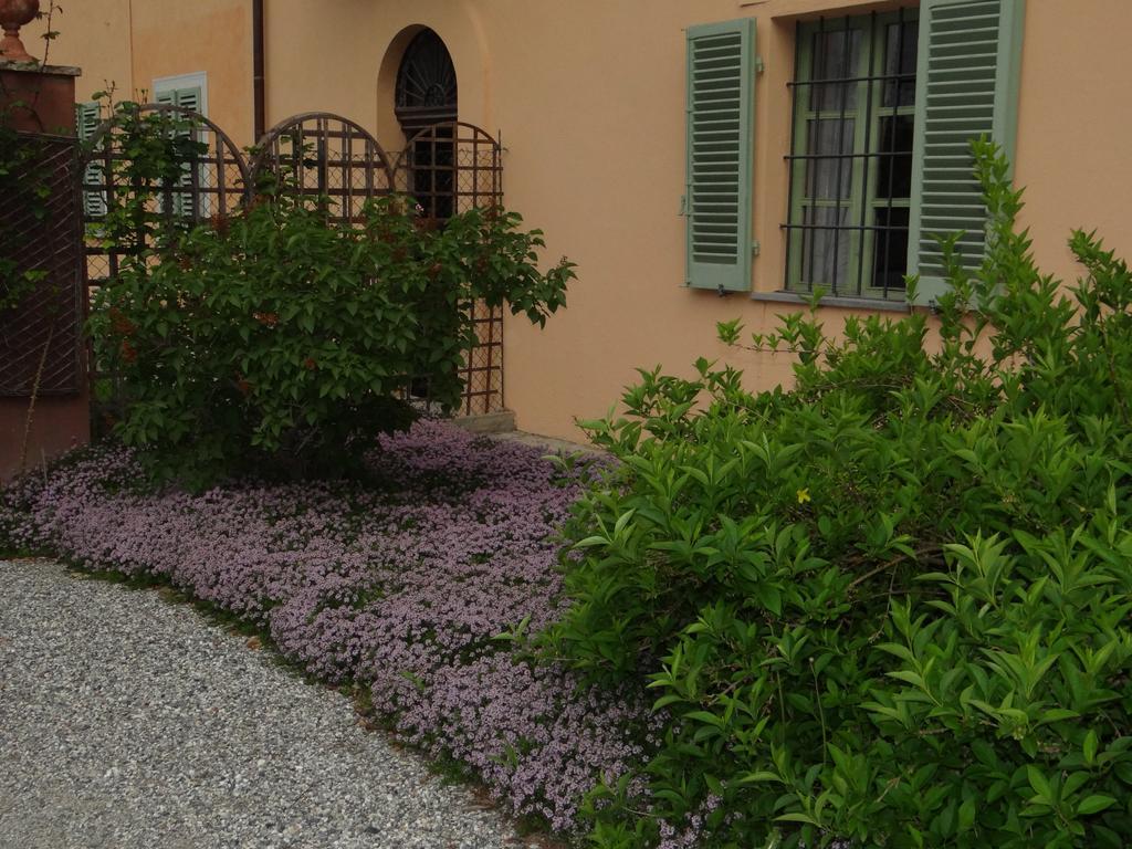 B&B Il Quadrifoglio Sciolze Bagian luar foto